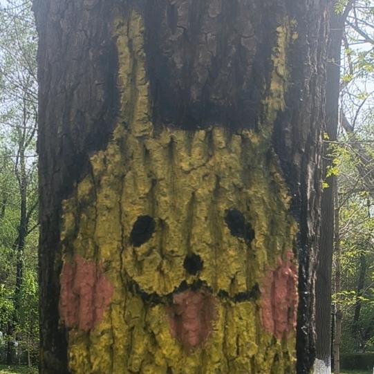 🌷㊗️引进美妆🌹🌈🦄（爱吃）