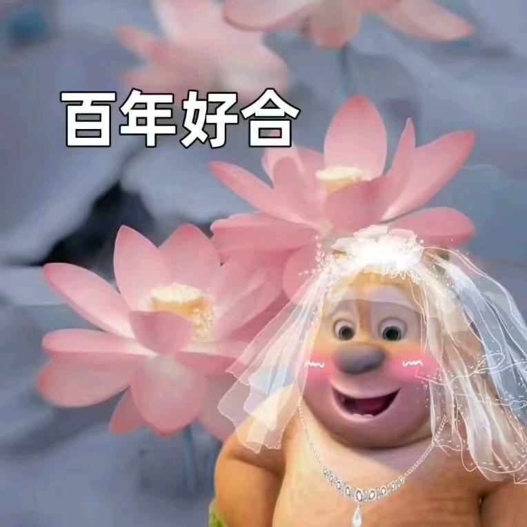 么毛