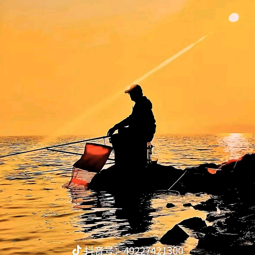 🎣🎣🎣🎣