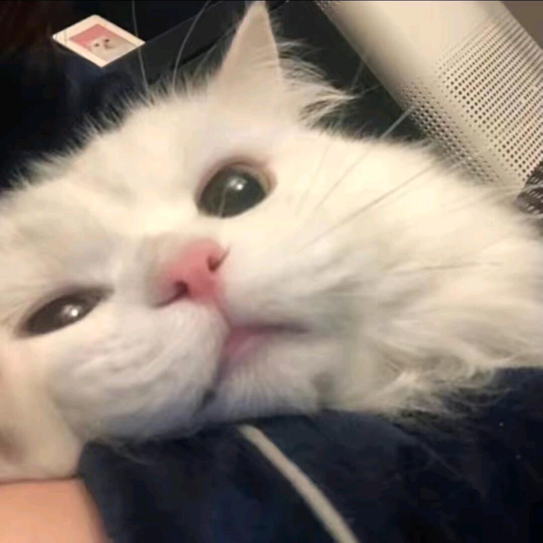 醉仙