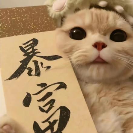 liu~ping