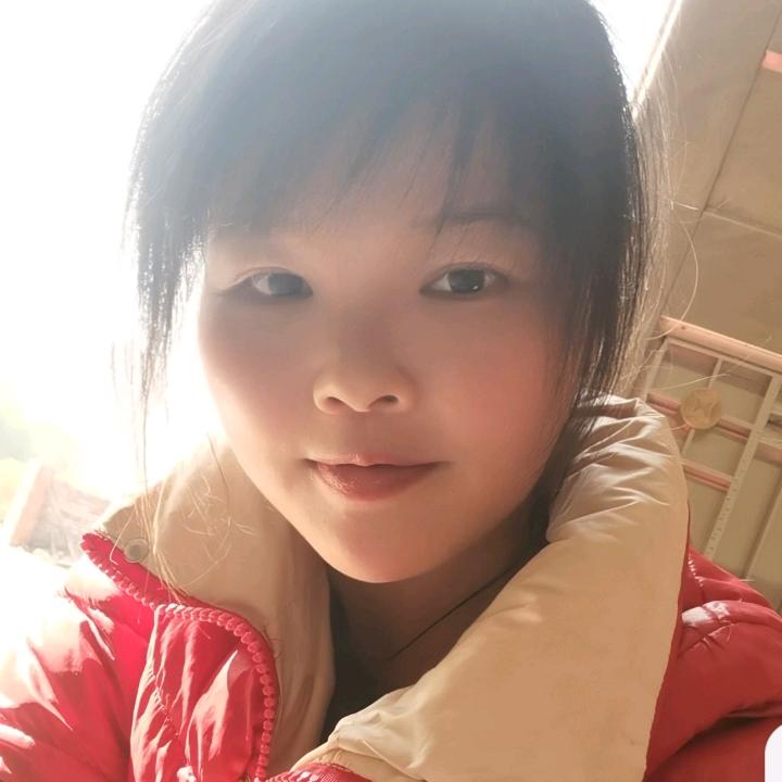 水上的燕子