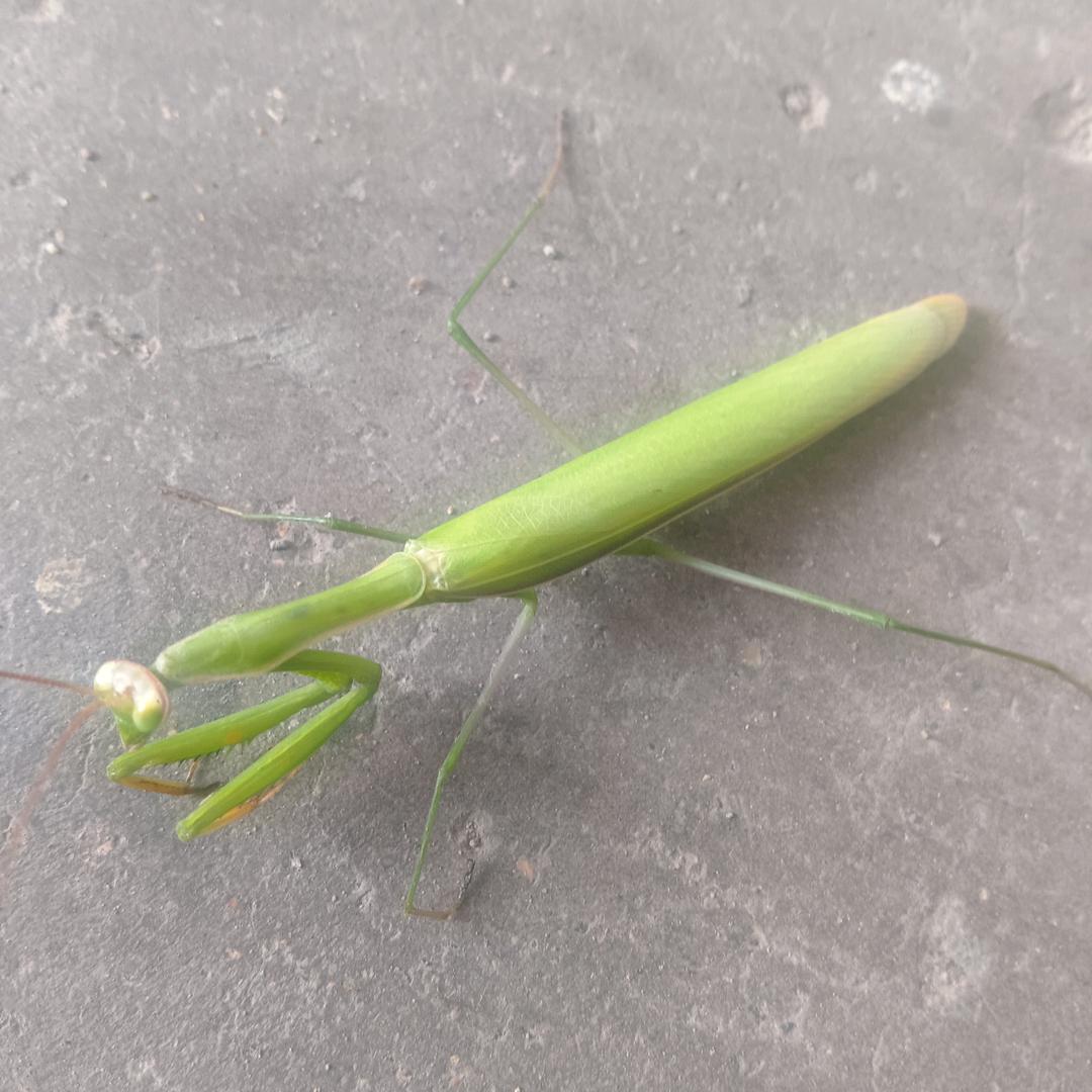 1+1=魏什嘛第一个不是你