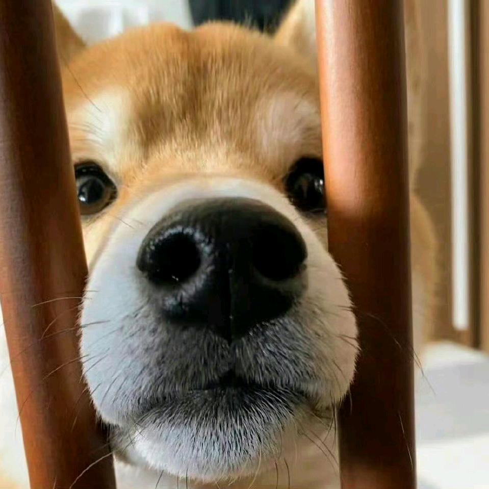 大声喊出我的名字