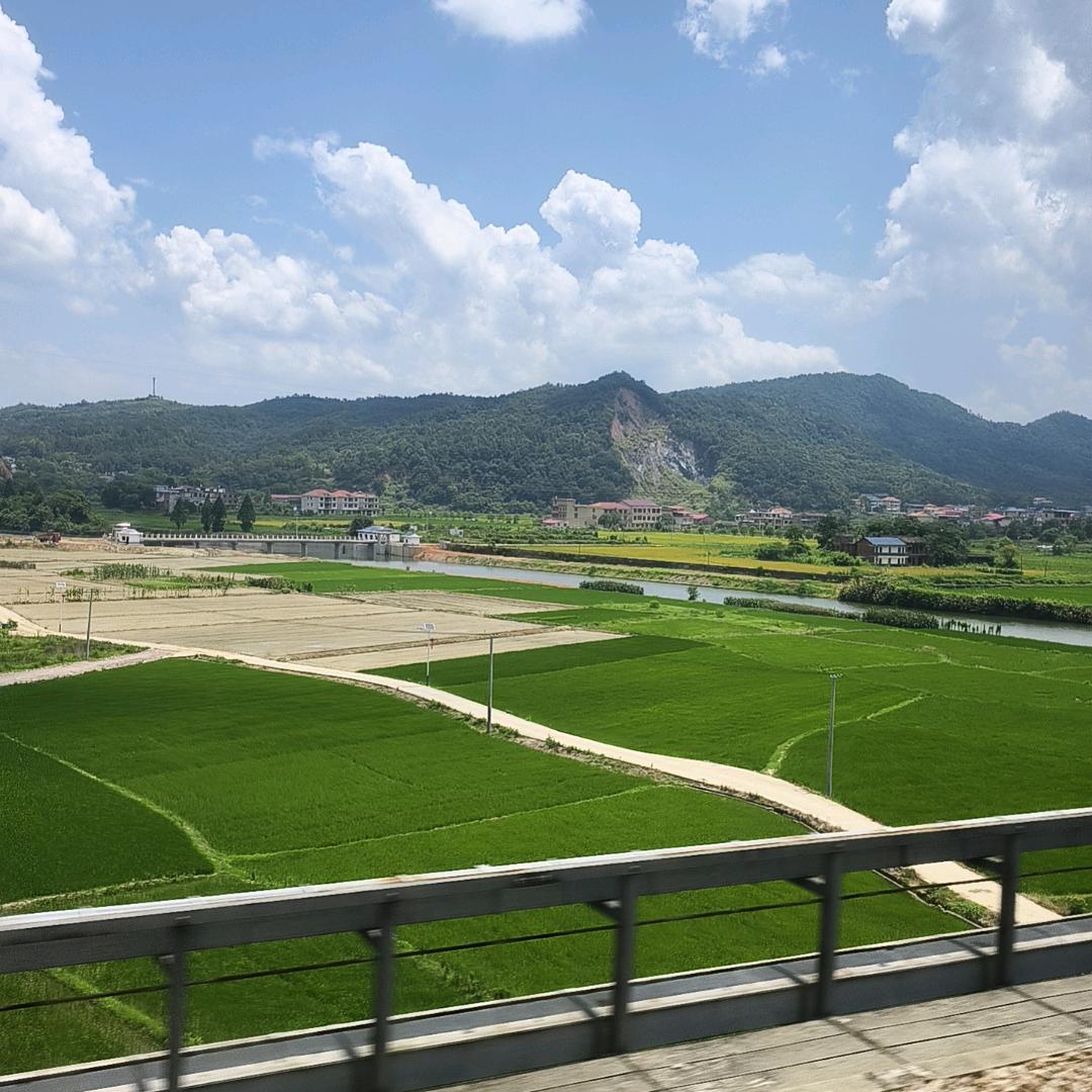 大少爷手机摄影