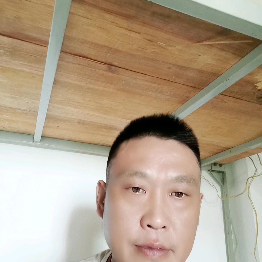 单身二哥从新开始