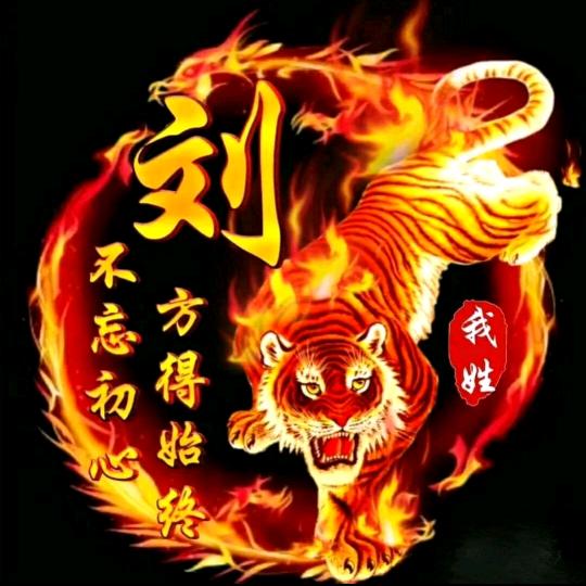 爱拼就会赢
