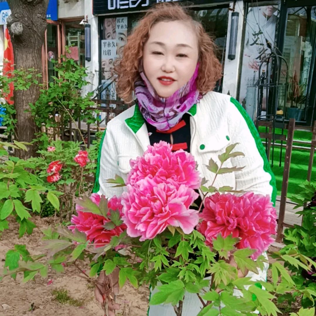 如意拒私聊，拒加微信