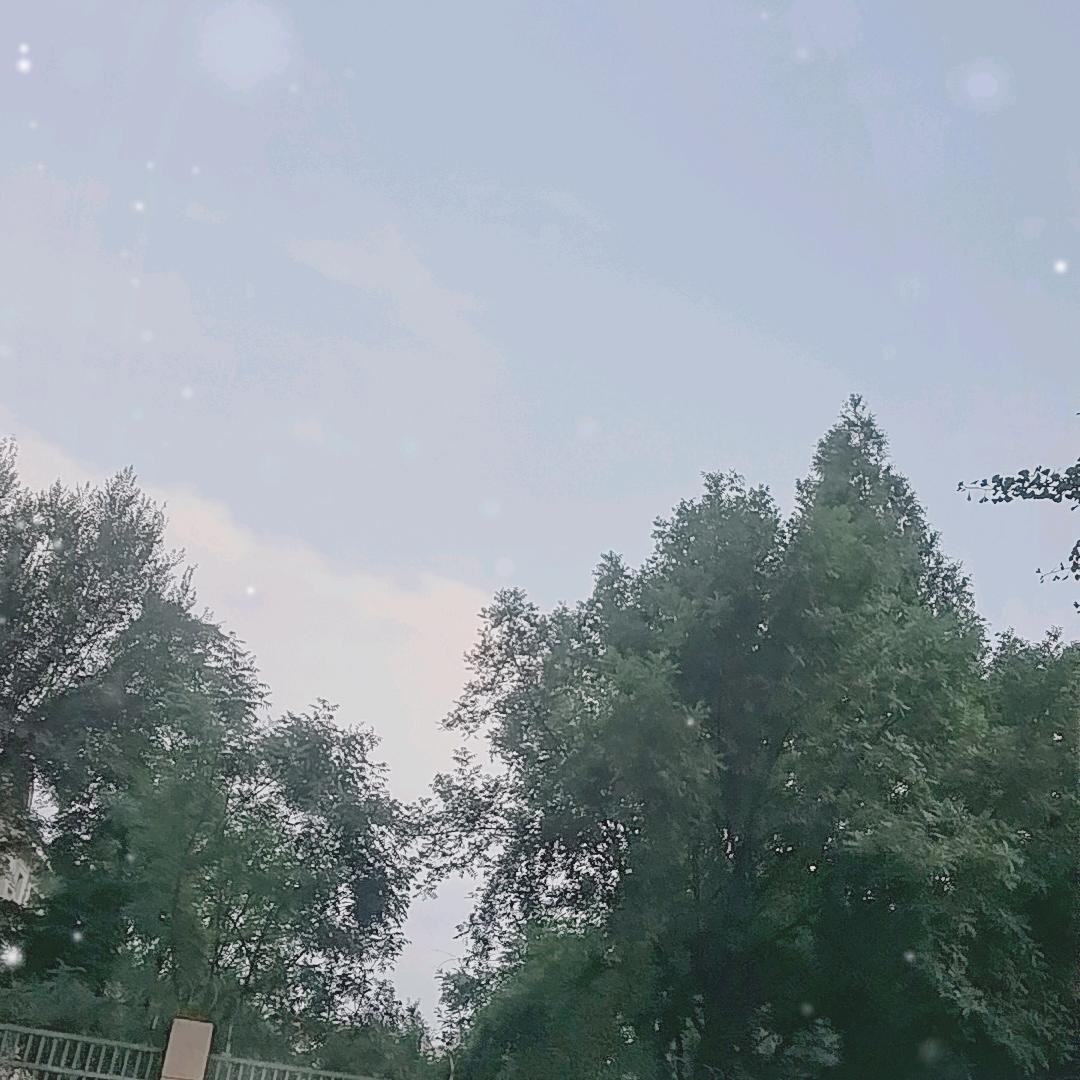 战狼团
