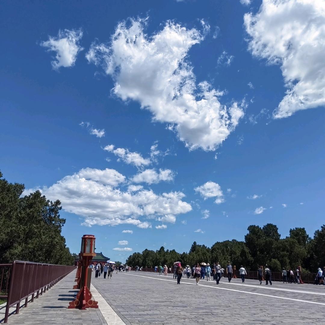羽众不同（月池大市场爱博尔)