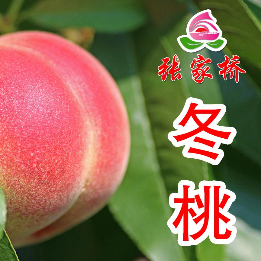 家住张家桥