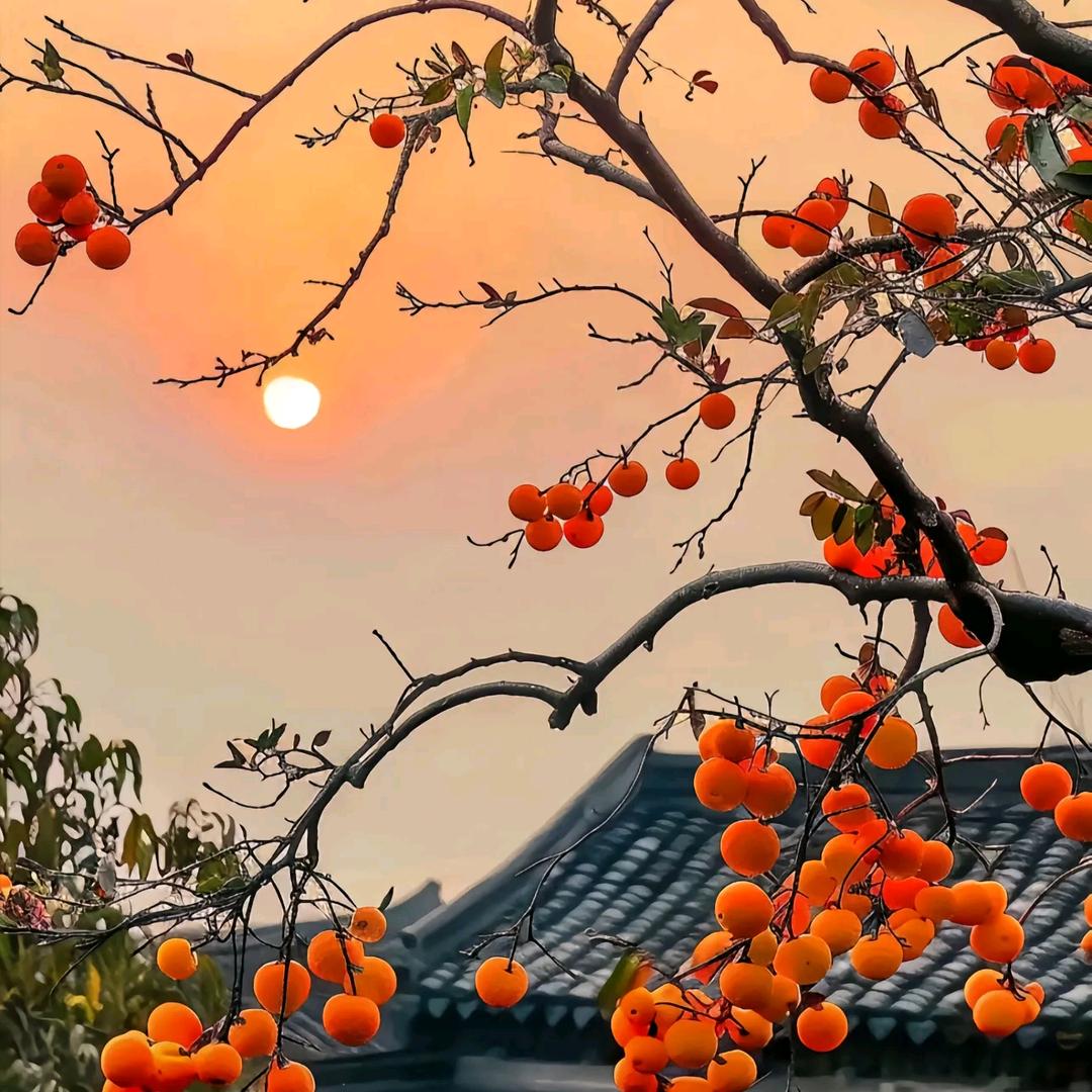 任💁加油任小林