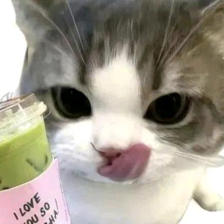 椰子水🥥