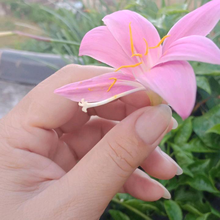 淡淡忧伤