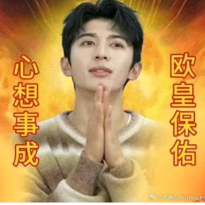 会飞的玫瑰生菜