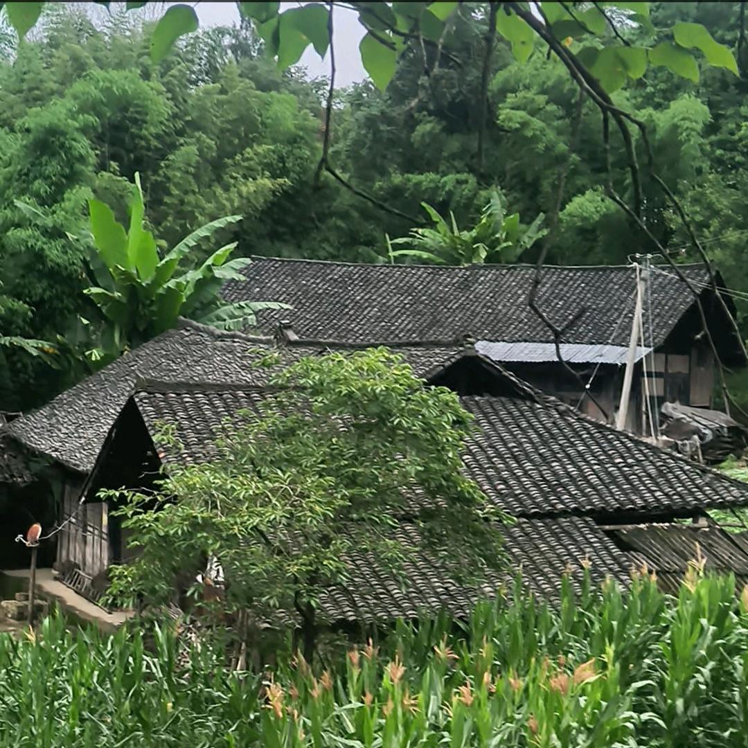 农村人家