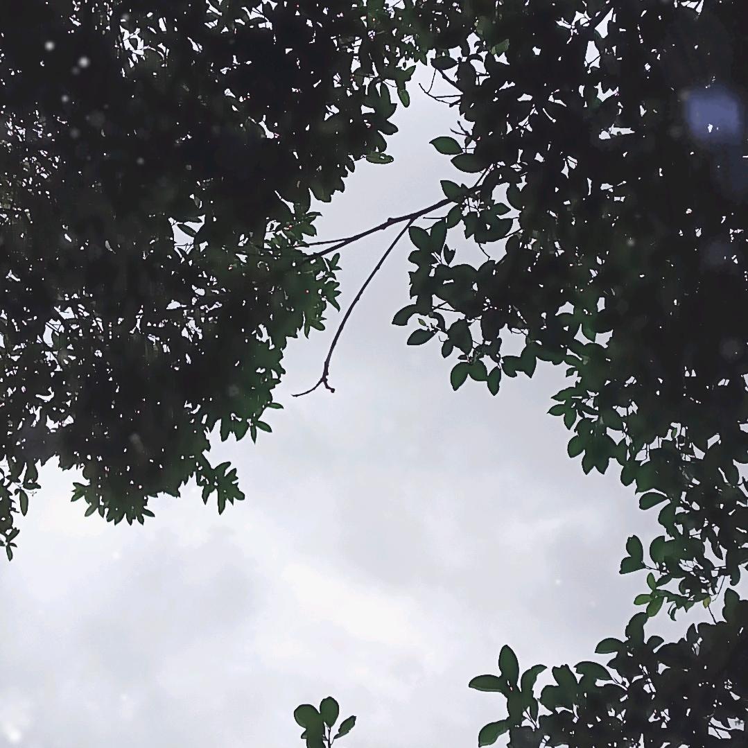 望月