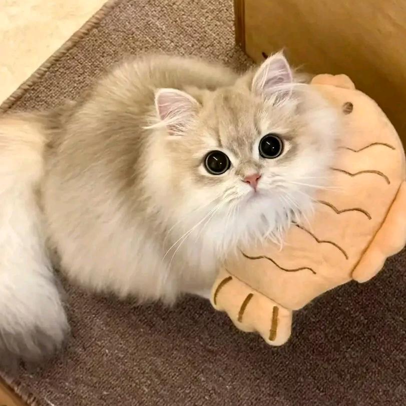 🌈彩虹姐姐🎤