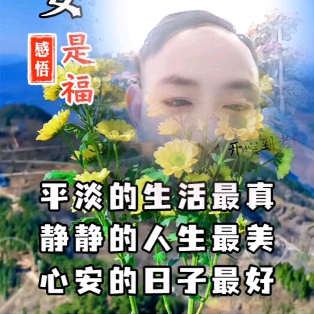 义乌市金福源星星花艺叶云其