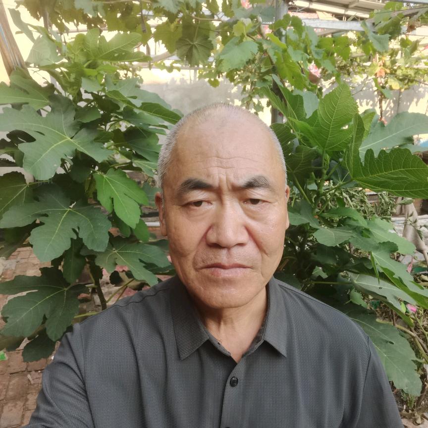 任哥
