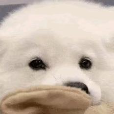 药水不想吃药