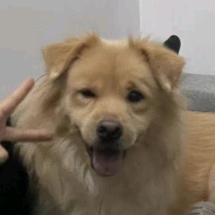 我叫铁蛋