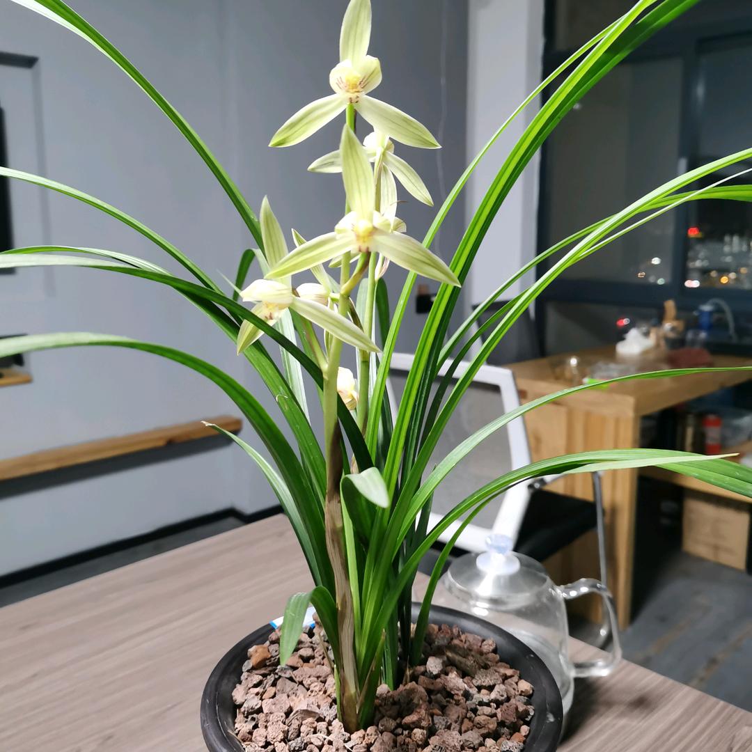 至文