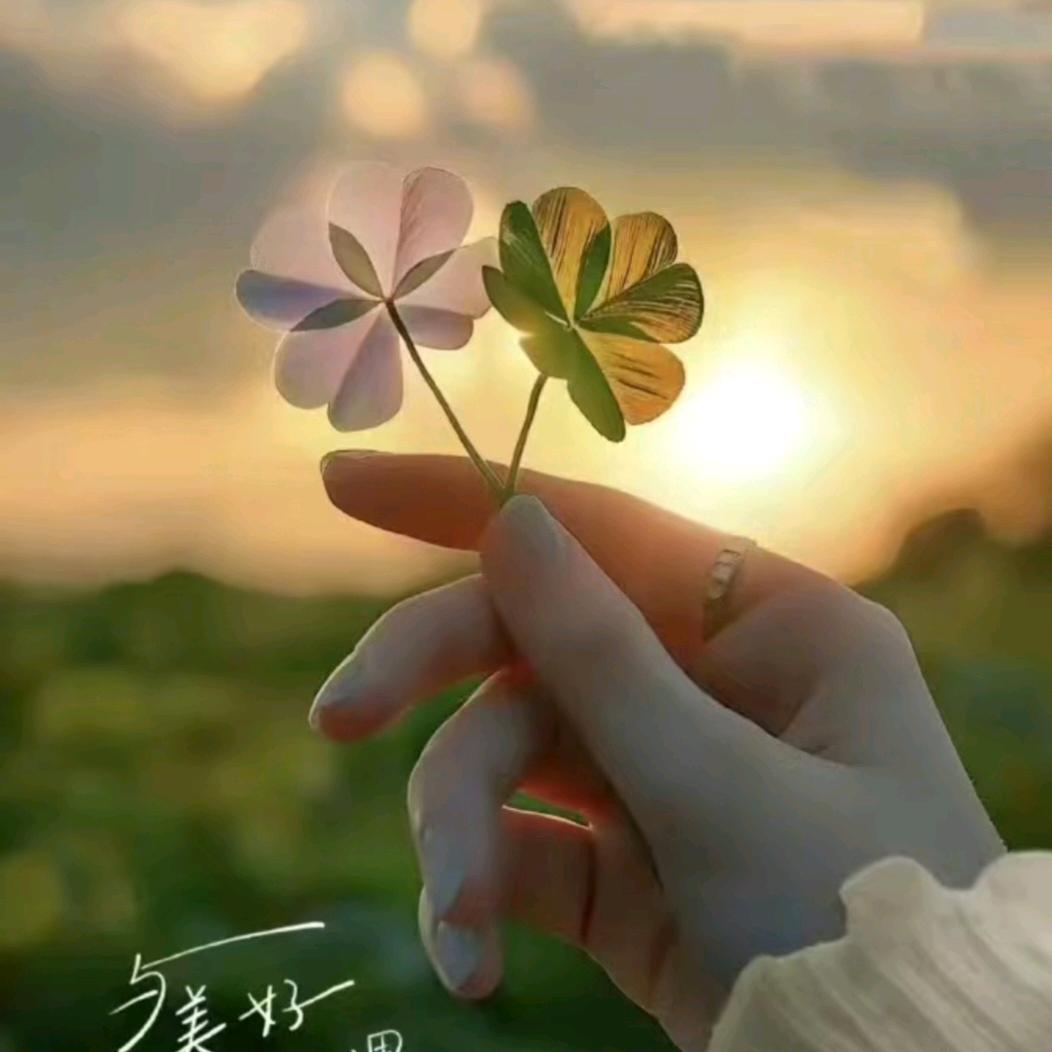 遇见更好的自己