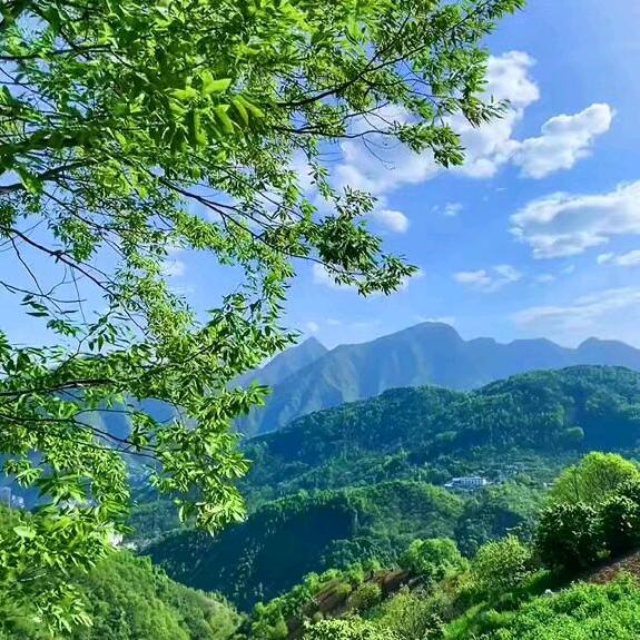 🚬ಇ᭄清风࿆ྃ烈酒໊醉人心࿐