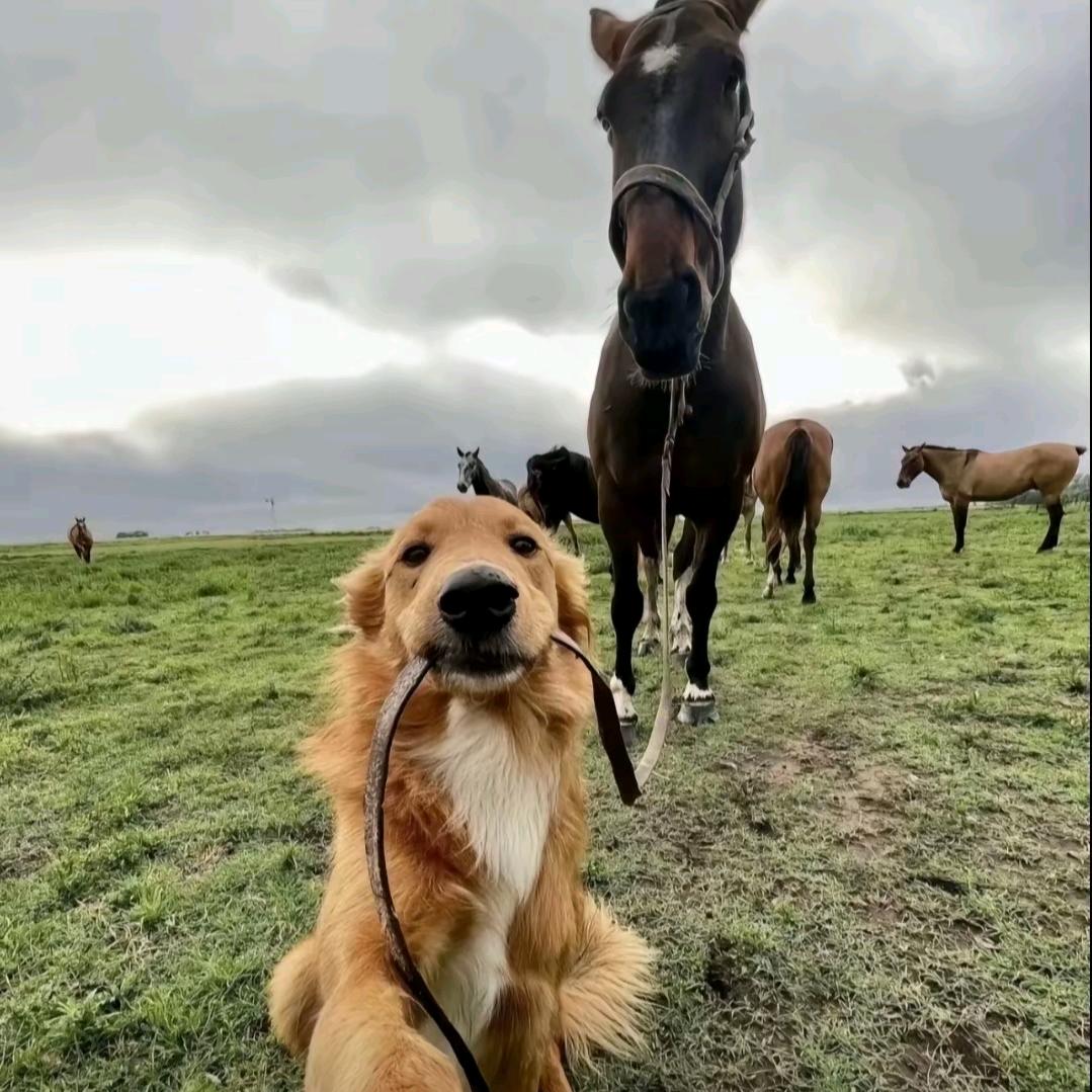 一个没用的废号