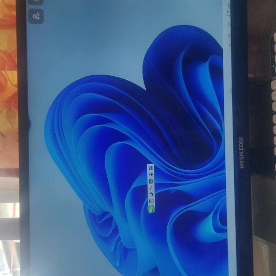 华南虎