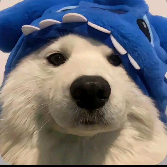 栖山海