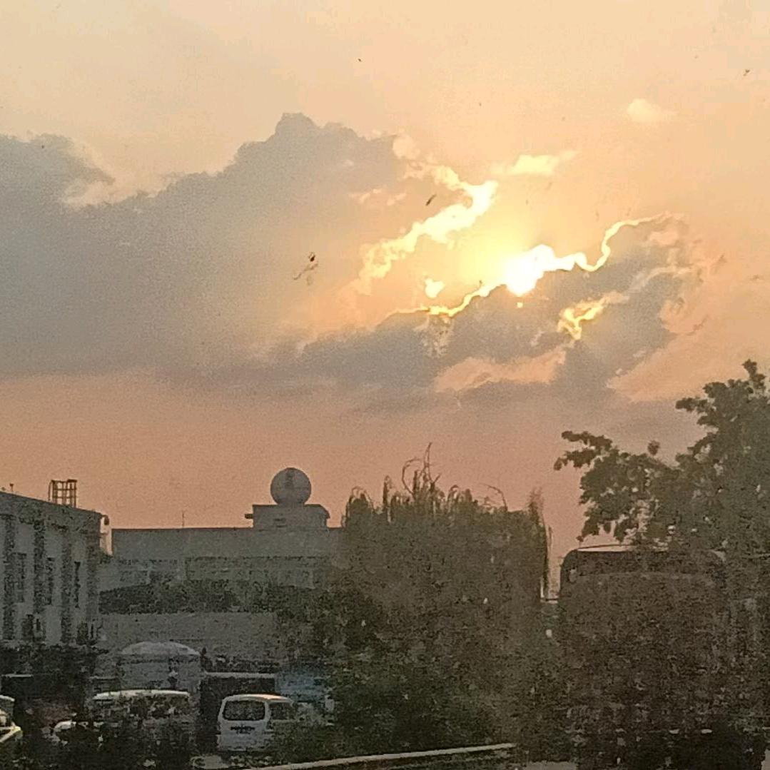 刘只猪