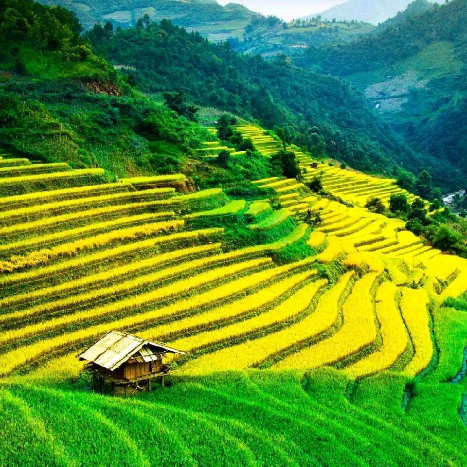 *ˊૢᵕˋૢ* 人生如梦 *ˊૢᵕˋૢ*