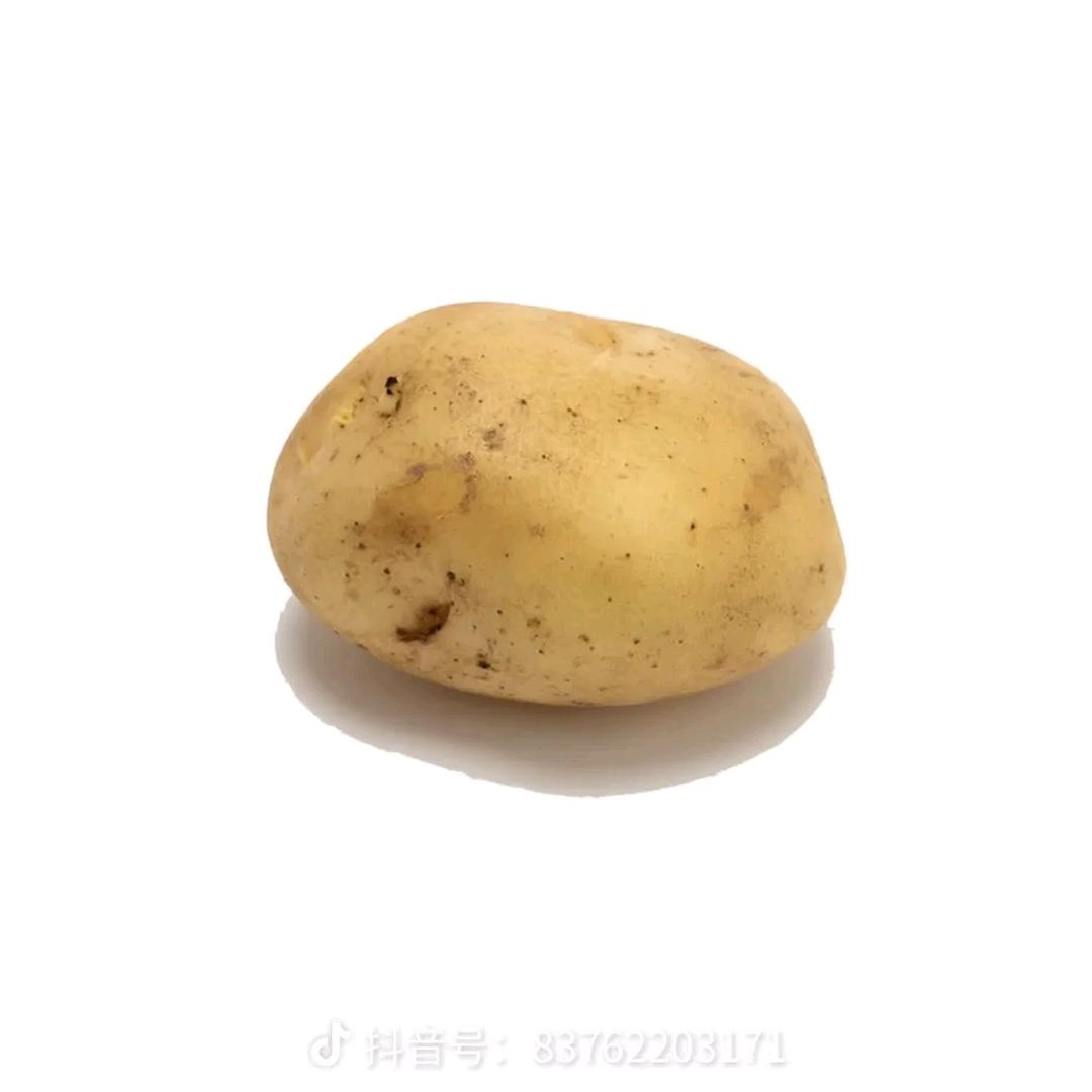 土豆🤓
