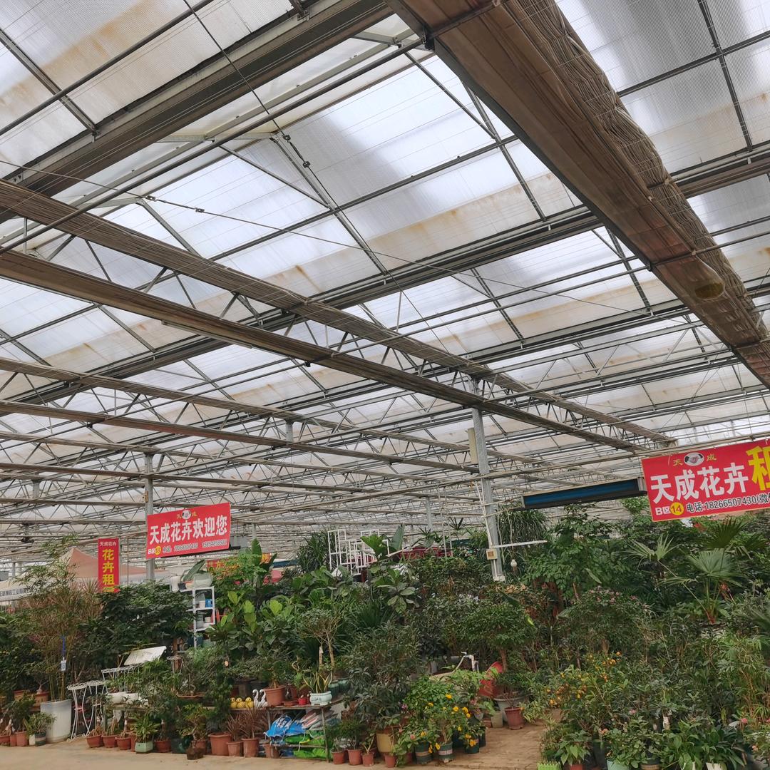 泰安天成花卉租赁公司