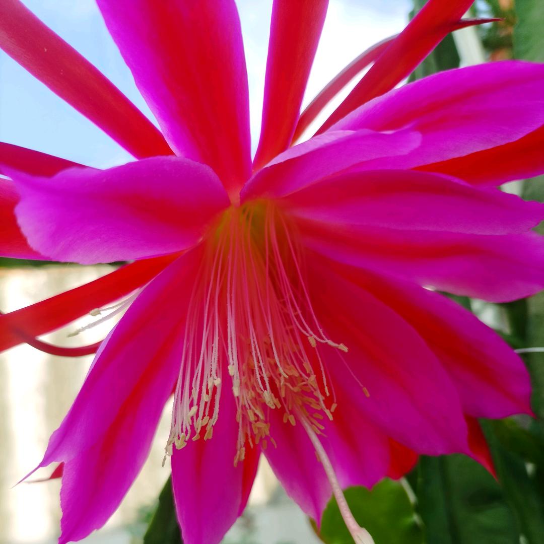 人生感悟，一生有你