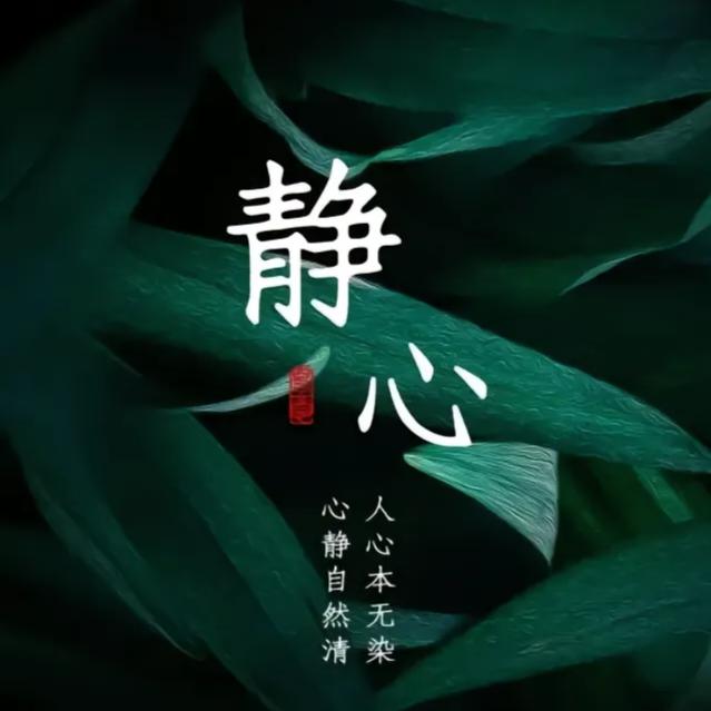 小周同学（520）