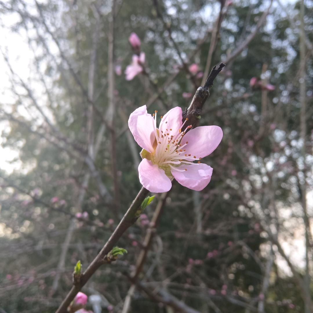 笑一笑就OK