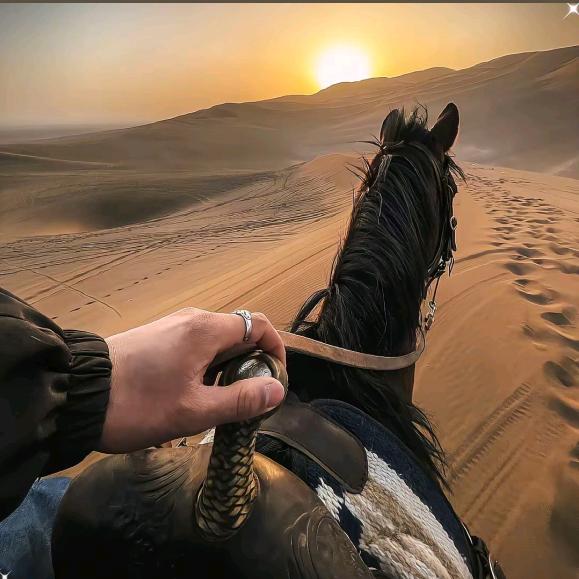 Dream十^_^俱往矣