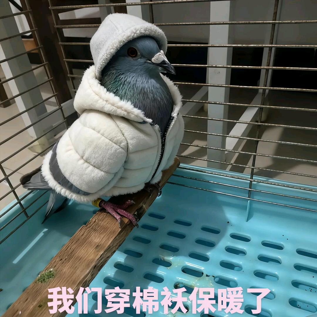 凡间太子