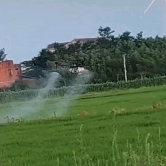 平平安安