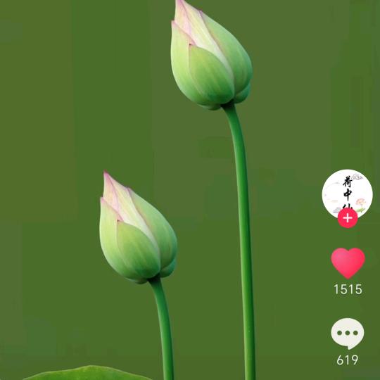 上善若水🙏🏻