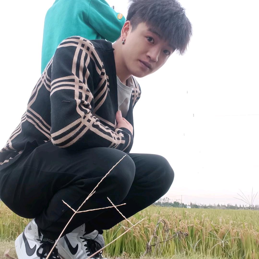 云南小刘挑瓜队