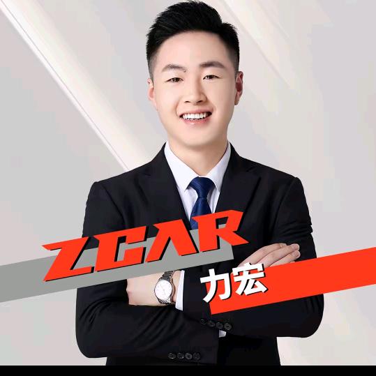 竹子买车-力宏助理