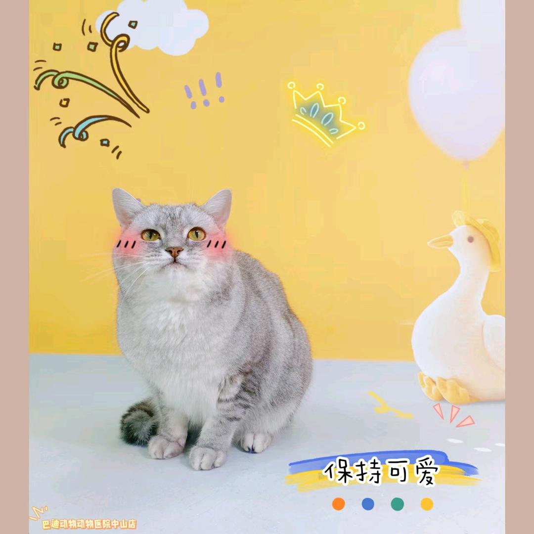 半丶moon