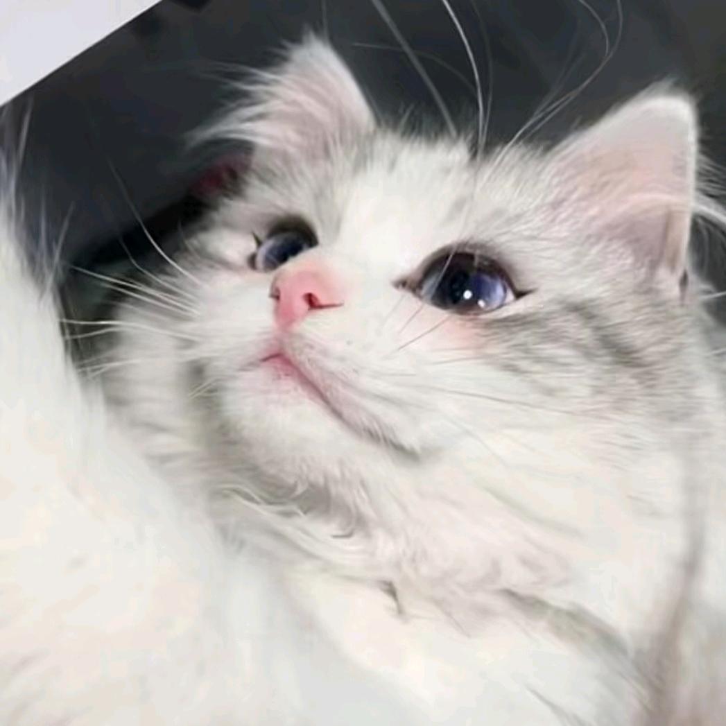 釉