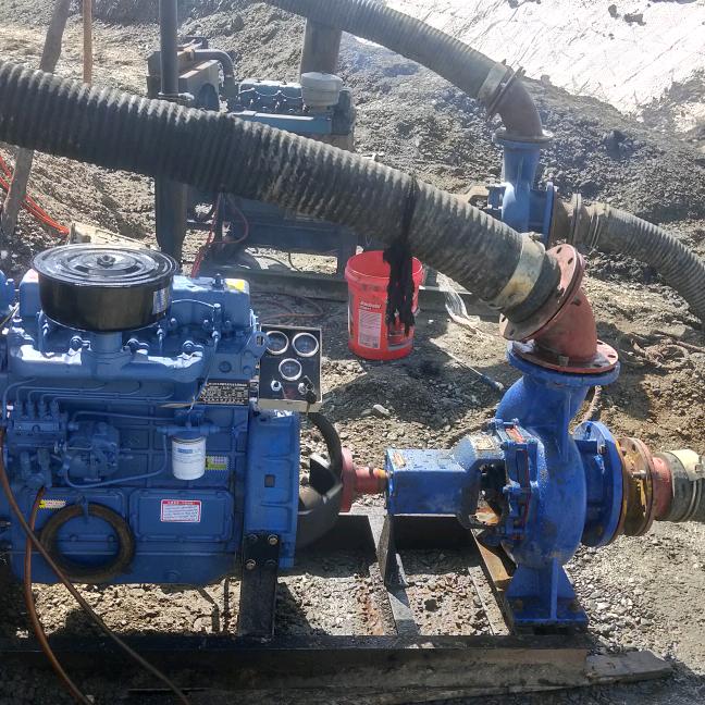 专业抽水，🌻🌻🌺🌺🌹🌹