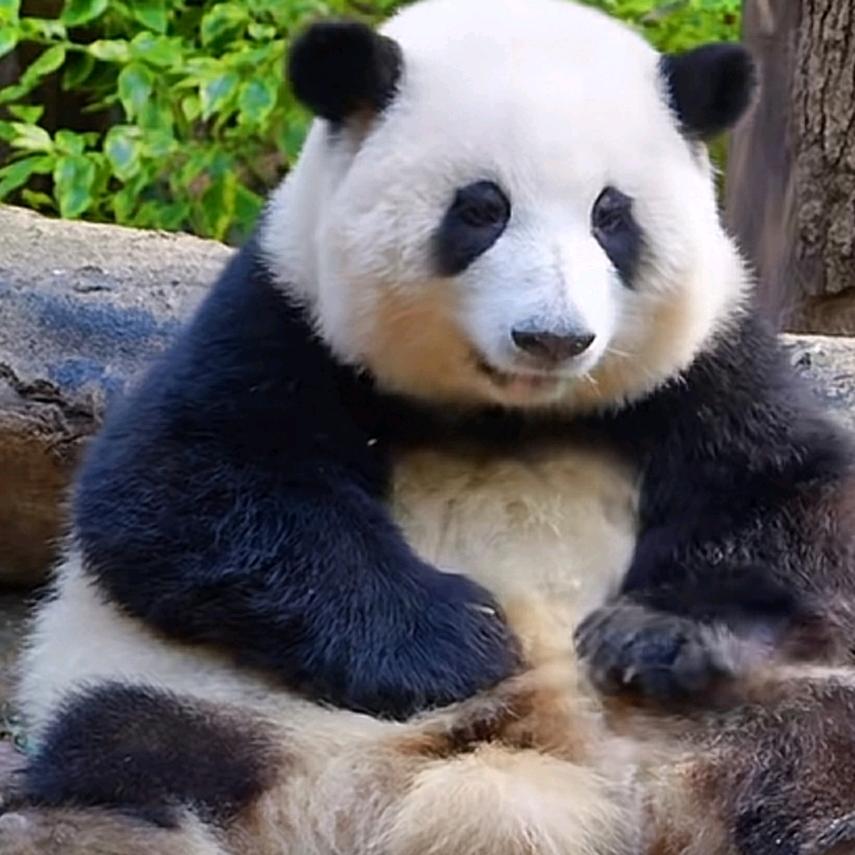 妖王三哥