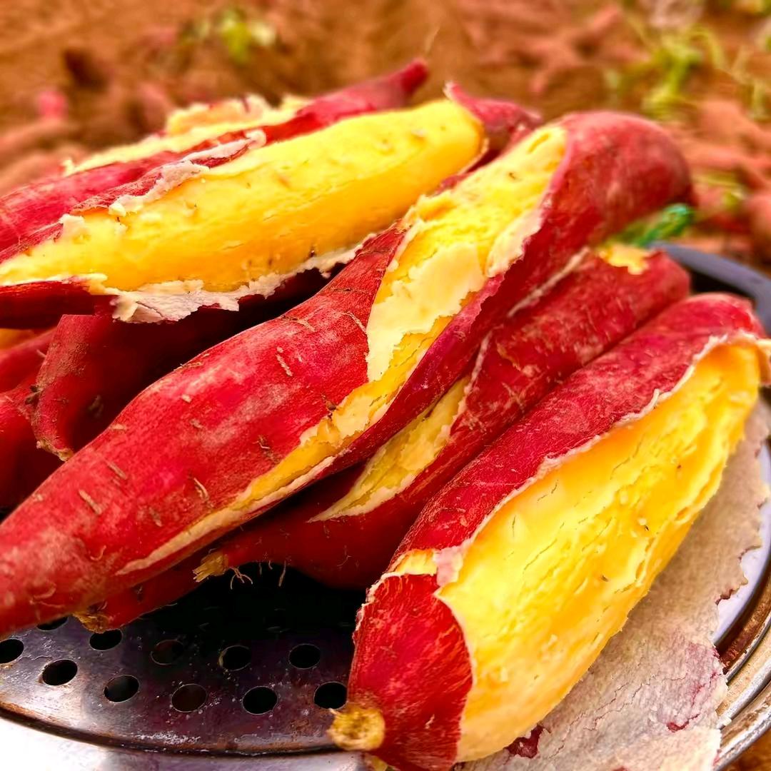 鼎鲜盛开【供应链】